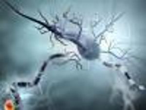 New Findings on Vitamin D and Multiple Sclerosis