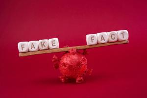 Medical Misinformation Affects Public Understanding of Long COVID