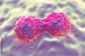 Dividing breast cancer cell | Image Credit: PRB ARTS - stock.adobe.com