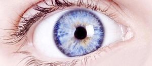 Evaluating Efficacy of Permethrin Cream for Demodex Blepharitis