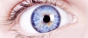 Evaluating Efficacy of Permethrin Cream for Demodex Blepharitis