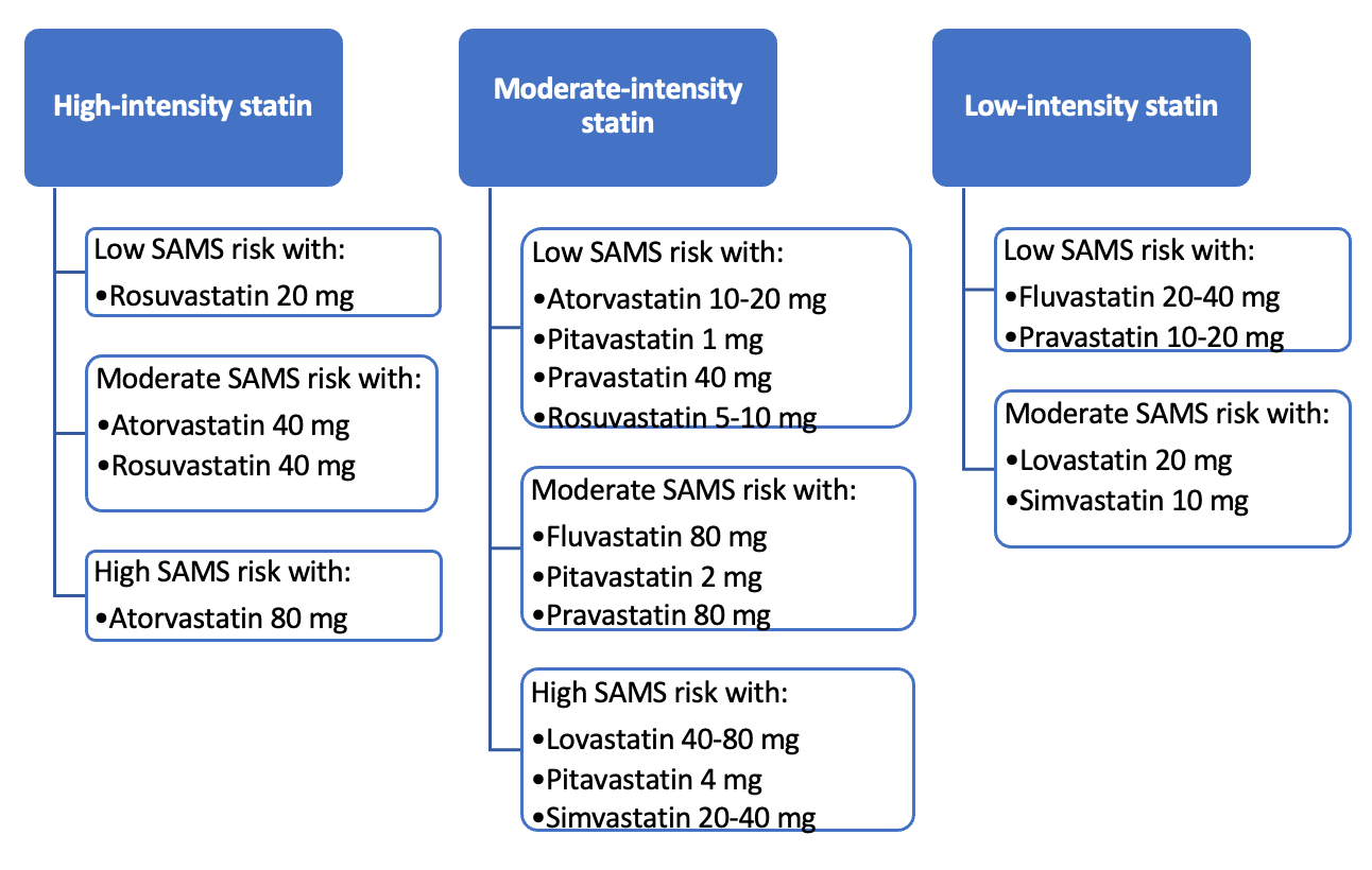 Don't Skip a Beat: Familiarize Yourself With Updates in Cardiovascular ...