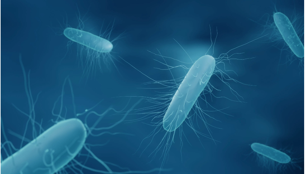 Environmental Disinfection Can Be an Affordable, Effective Way to ...