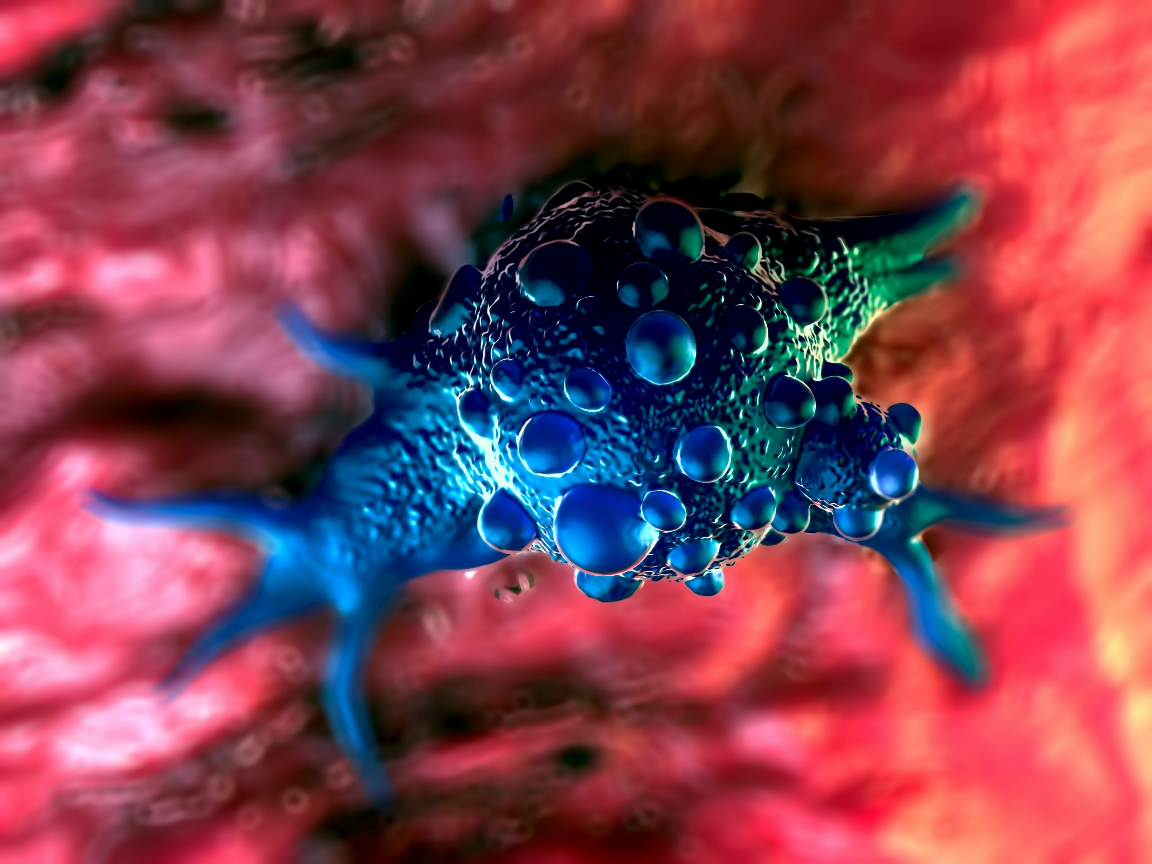 3d illustration - Bladder cancer cells - Image credit: PRB ARTS | stock.adobe.com