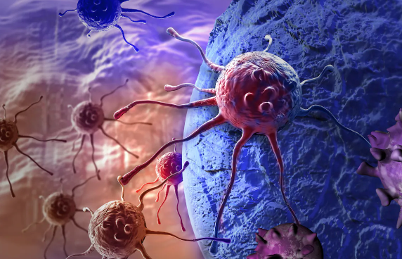 New Therapeutics Treat Homologous Recombination Repair Deficiency - Vimarsana News