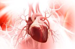 LPLDL Shows Big Reductions in Multiple Heart Disease Biomarkers for Adults With High LDL