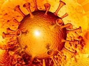 Long-Acting Raltegravir Prevents Vaginal HIV Transmission