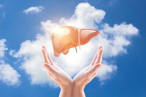 Cytomegalovirus Disease Prevention in High-Risk Liver Transplant Patients: Preemptive Therapy or Prophylaxis?