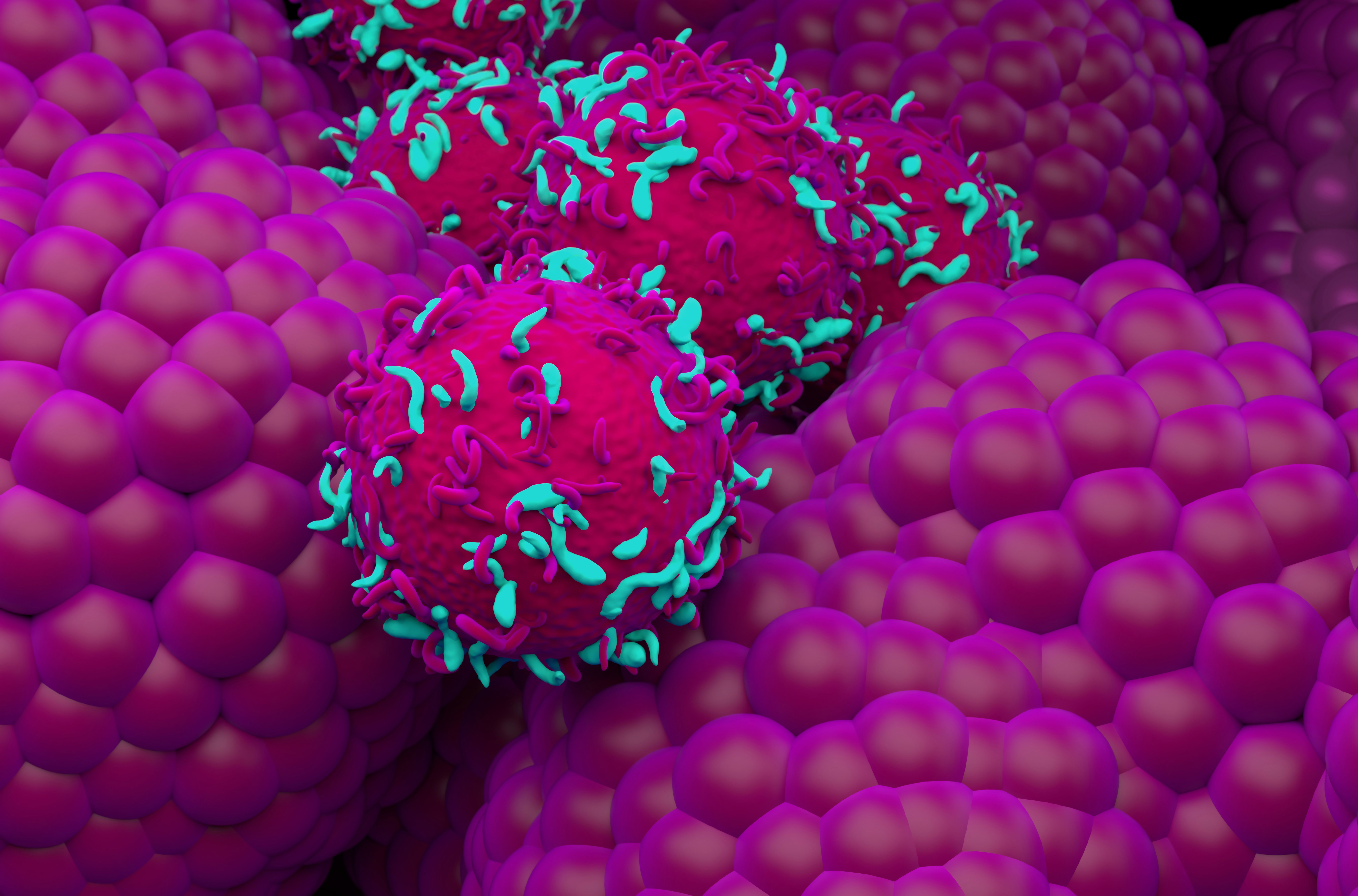 Detailed digital rendering of cellular interaction showing cells with protein-like projections binding to surrounding cells, illustrating immune cell interactions or viral/antigen binding