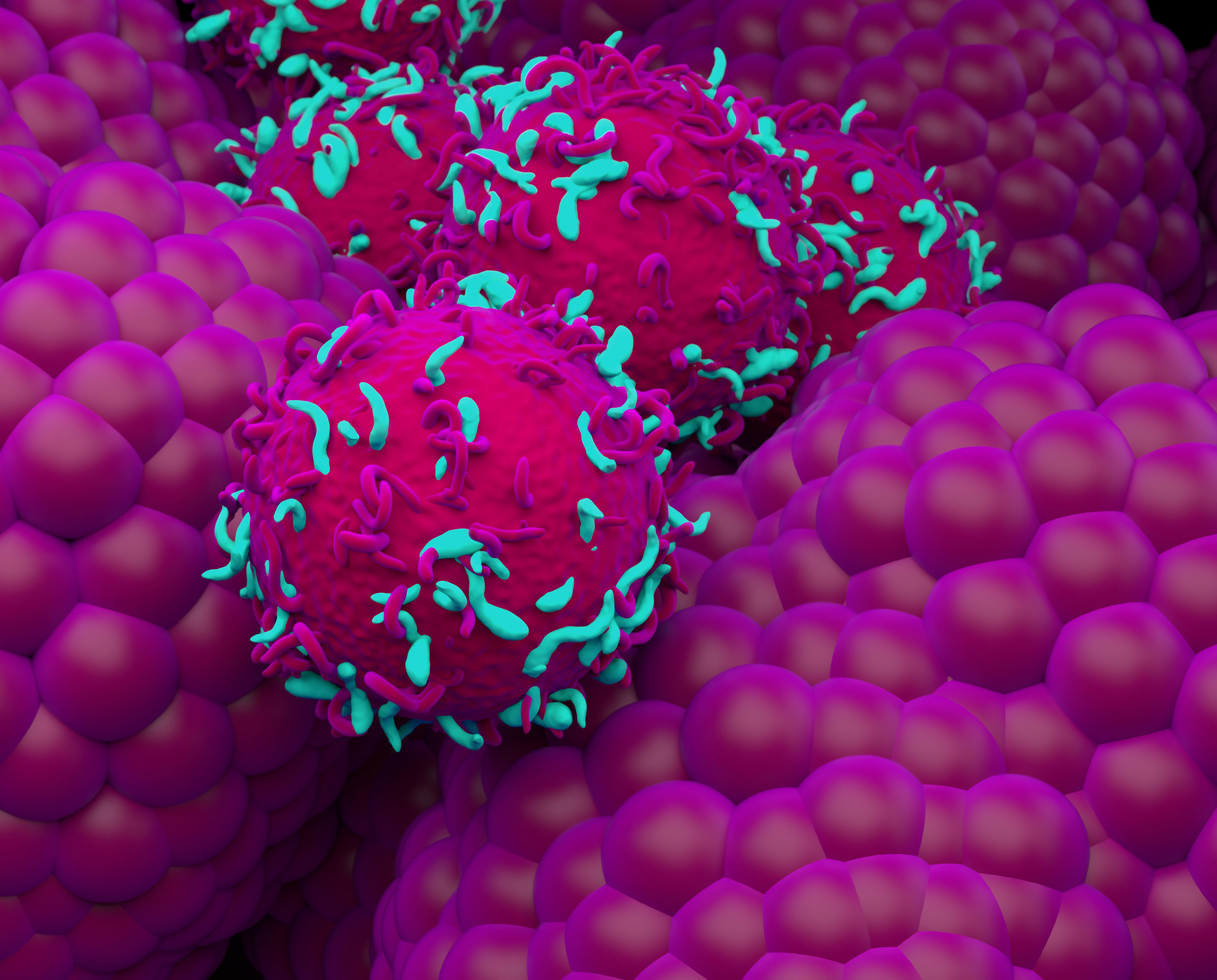 Detailed digital rendering of cellular interaction showing cells with protein-like projections binding to surrounding cells, illustrating immune cell interactions or viral/antigen binding