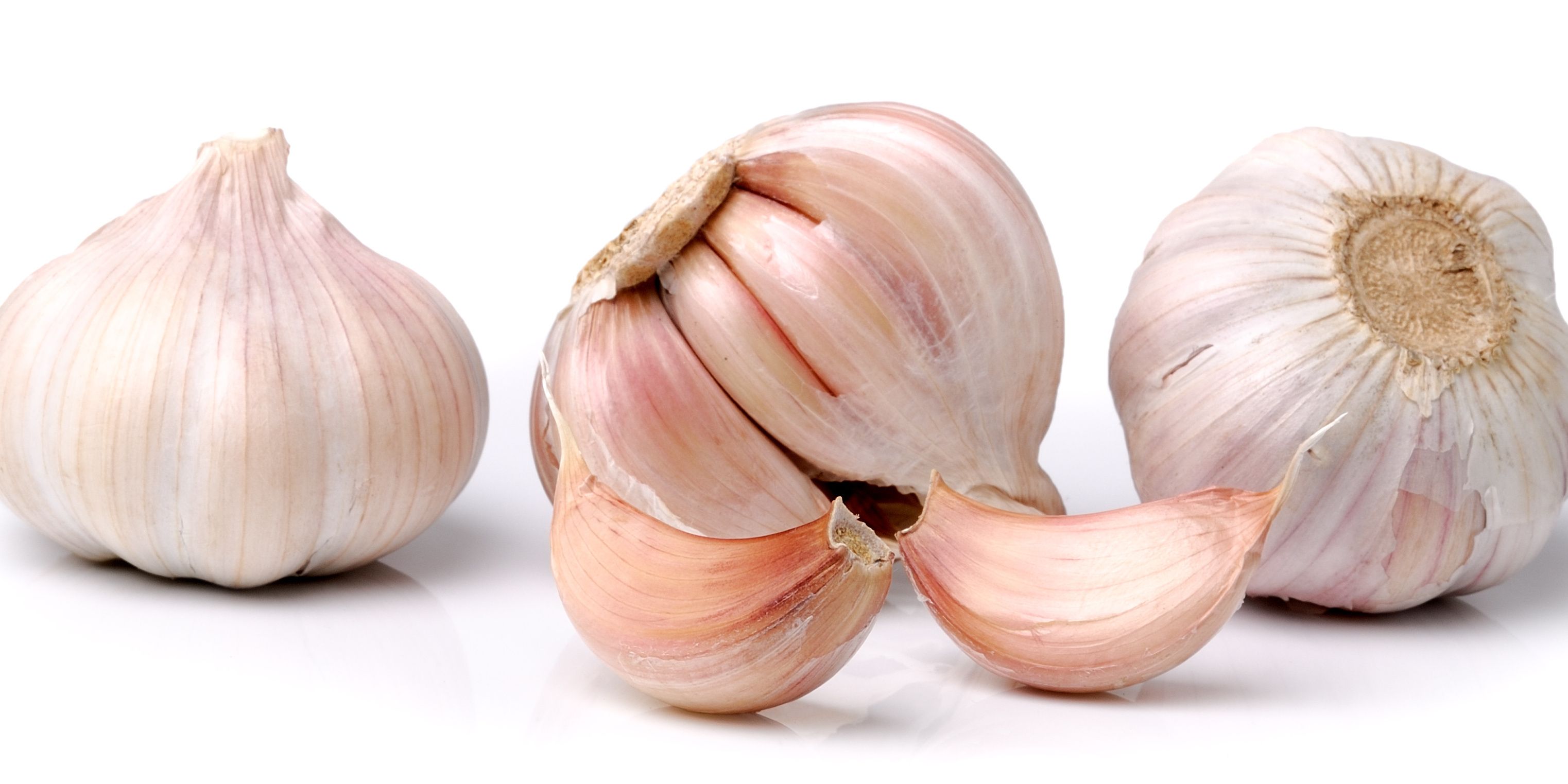 can-garlic-cure-the-common-cold