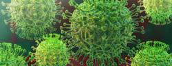 Study Finds Risk of Death Due to COVID-19 Not Raised by Recent Chemotherapy, Immunotherapy for Gynecologic Cancer