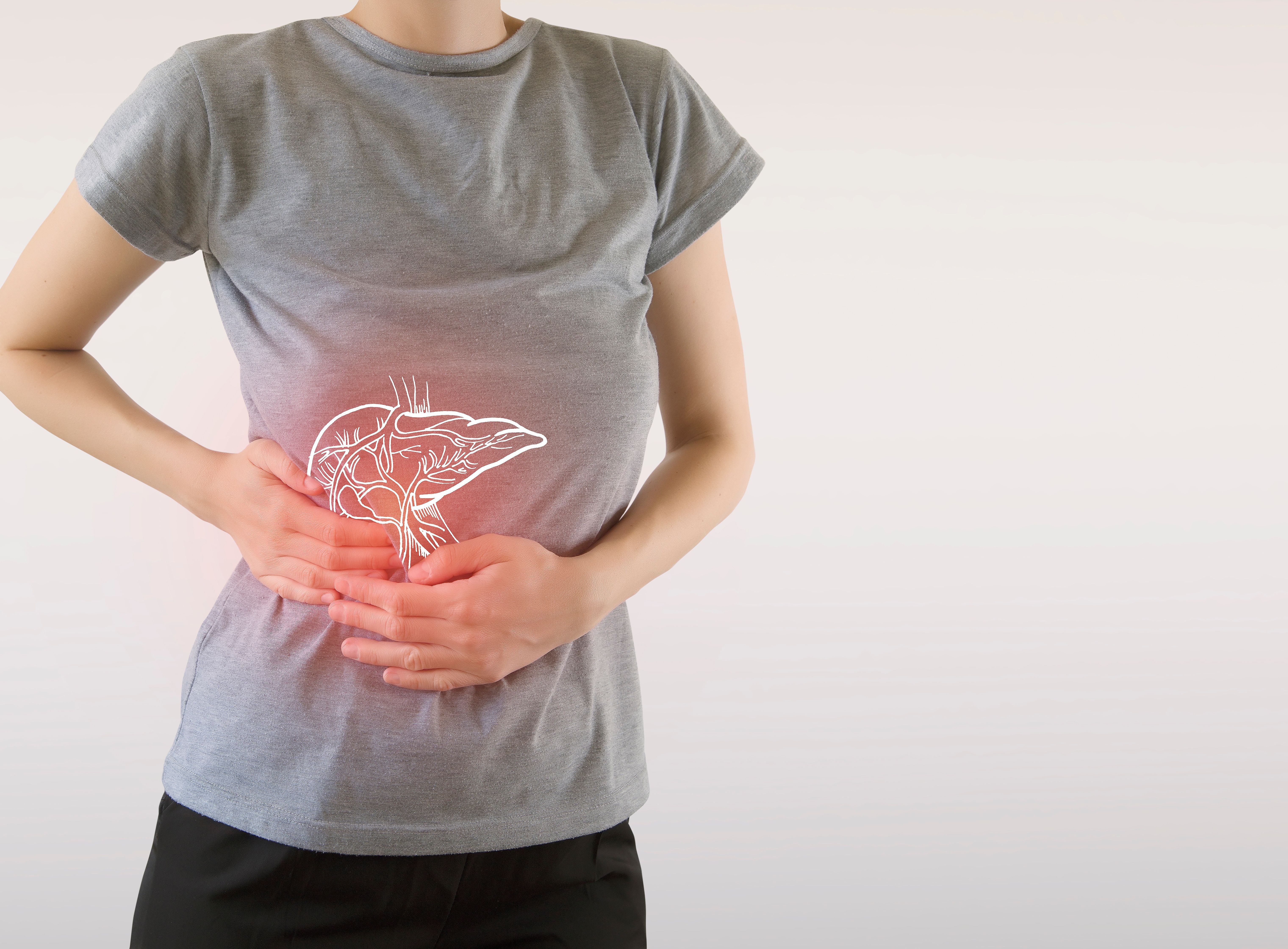 Nash, Mash, Liver Disease | Image Credit: mi_viri - stock.adobe.com