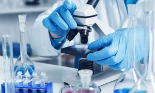 Hopeful Outcomes for the Pfizer-BioNTech COVID-19 Vaccine