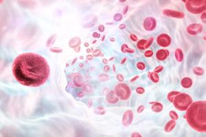 Red blood cells, hematology -- Image credit: Rasi | stock.adobe.com