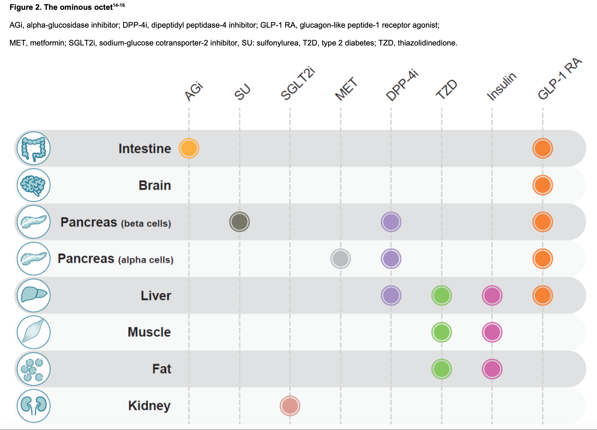 Basal Insulin Therapy in Type 2 Diabetes Management: What the Pharmacist  Should Know | Pharmacy Times, image size:2006x1446