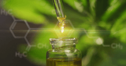 Expert: Cannabis Dispensaries Need to ‘Become More Like a Pharmacy,’ Otherwise Pharmacies Should Be Access Points for Unbiased Cannabis Dispensing