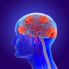 3D image of Alzheimer disease in brain -- Image credit: Lars Neumann | stock.adobe.com