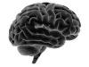 In Utero Antiretroviral Exposure Potentially Linked to Neurological Abnormalities