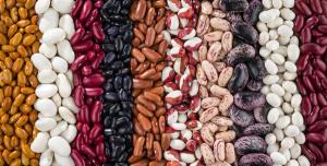 A set of various kidney beans - Image credit: vladk213 | stock.adobe.com