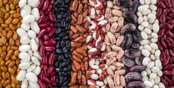 A set of various kidney beans - Image credit: vladk213 | stock.adobe.com