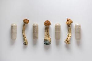 Micro dosing concept. Dry psilocybin mushrooms as natural herbal pills on white background. Psychedelic magic mushroom as medical supplement. | Image Credit: Cannabis_pic | stock.adobe.com