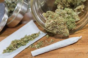 The Emerging Risks of Modern Cannabis