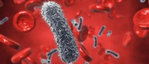 What Are the Implications of the MERINO Trial?