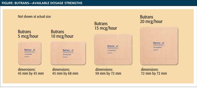 Butrans A Pharmacist's Guide to Butrans® (buprenorphine) Transdermal System CIII