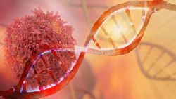 Salvage Therapy for Amyloidosis in Multiple Myeloma: Agents and Anti-Fibril Therapy