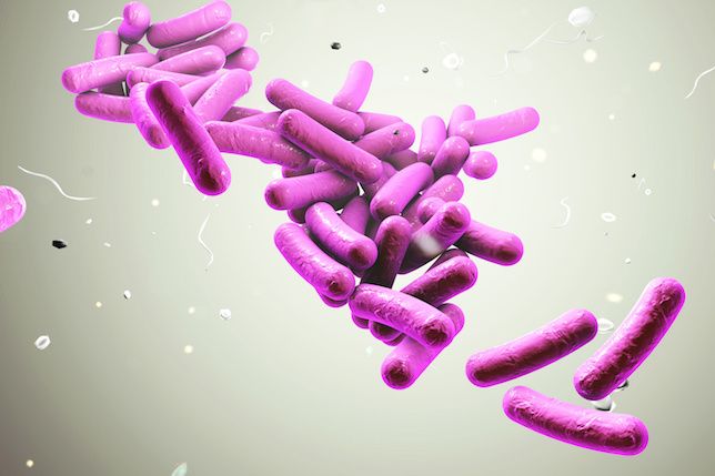 Investigational Microbiota-Based Live Biotherapeutic Demonstrates Positive Interim Results in Phase 3 Study