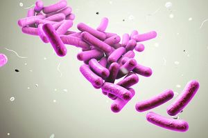 New Antibiotics Treat Select Resistant Infections
