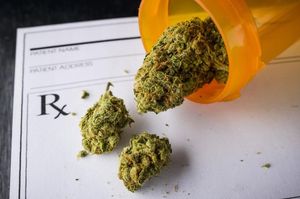 Medical Marijuana in Community Oncology