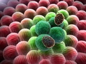 FDA to Review NDA for Metastatic Prostate Cancer Drug