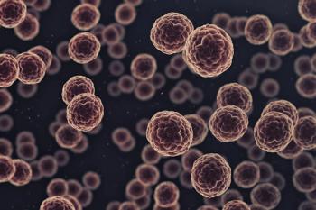 Microscopic view of cancer cells