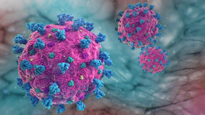 Evaluating the Efficacy of Adjunctive Therapies Used to Treat COVID-19: The Role of Famotidine, Melatonin, and Thiamine