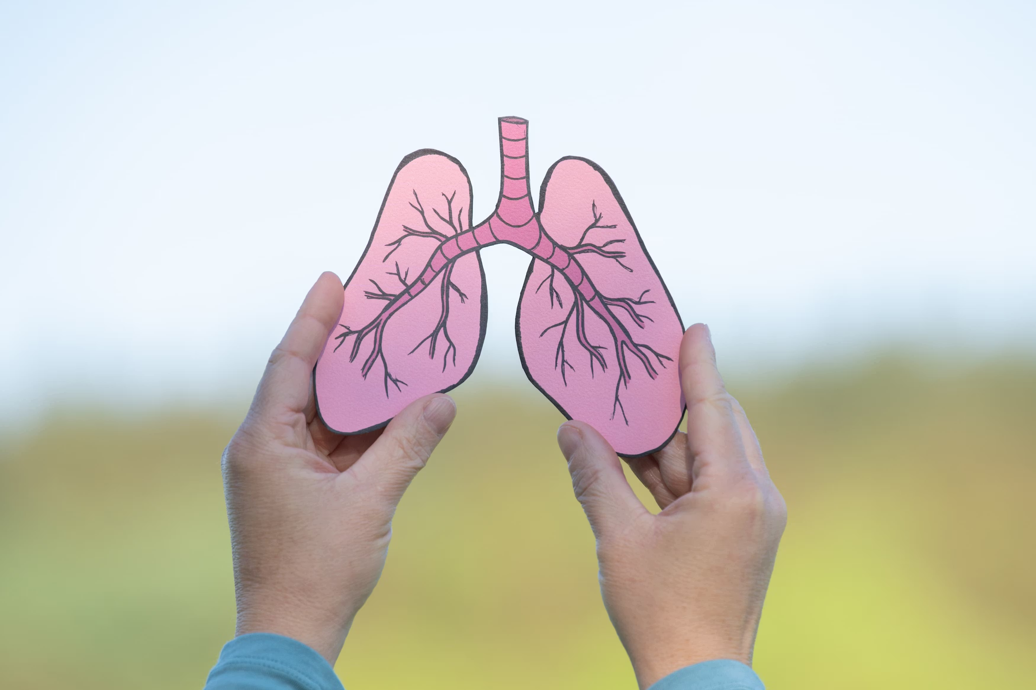 Paper cut-out of lungs with asthma -- Image Credit: Berit Kessler | stock.adobe.com