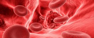 Novel Oral Anticoagulants