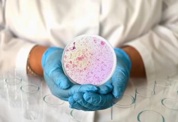 Petri dish with gonorrhea bacteria -- Image credit: Степан Хаджи | stock.adobe.com