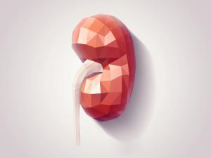 Lifestyle Counseling, mHealth Interventions Show Promise for Slowing CKD Progression