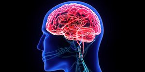 Promoting Brain Function Is Key Amid COVID-19 Crisis