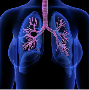 Reaching Out in Cystic Fibrosis: Pharmacotherapy of Cystic Fibrosis and the Role of the Specialty Pharmacist