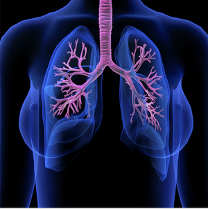 Reaching Out in Cystic Fibrosis: Pharmacotherapy of Cystic Fibrosis and the Role of the Specialty Pharmacist