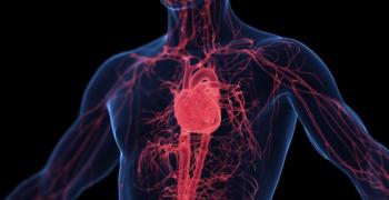 Cardiovascular system -- Image credit: Sebastian Kaulitzki | stock.adobe.com