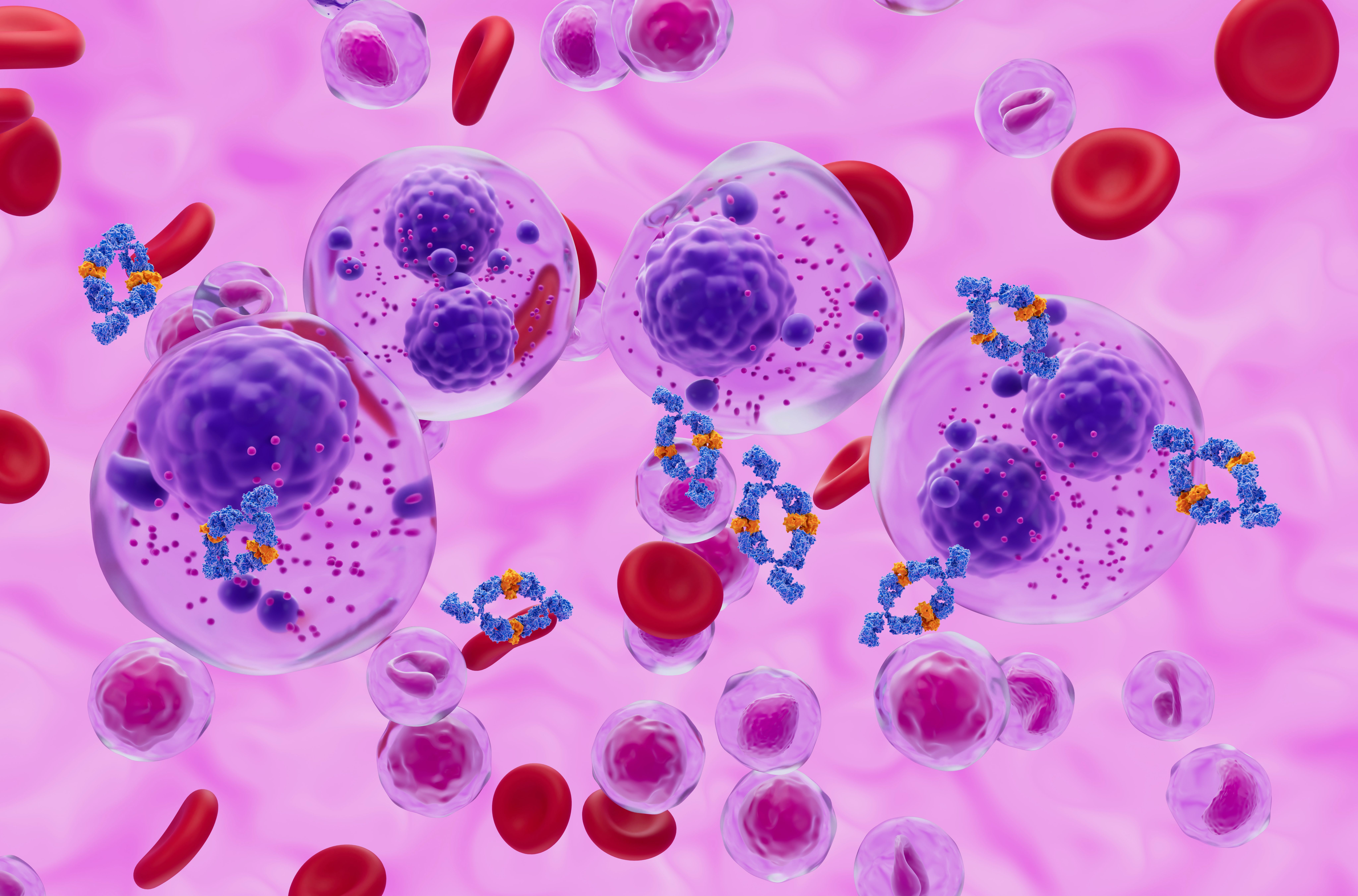 Multiple myeloma treatment -- Image credit: LASZLO | stock.adobe.com