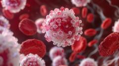 Multiple Myeloma is a cancer of plasma cells, a type of white blood cell found in bone marrow - Image credit: kamonrat | stock.adobe.com