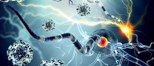Study: Genetic Risk Variant Linked to Astrocytes Increases Risk of MS