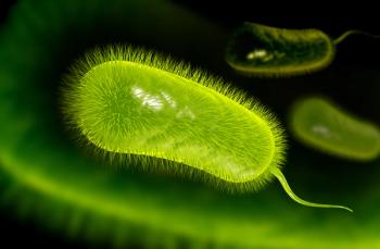 3D illustration of H. Pylori bacteria | Image Credit: © abhijith3747 - stock.adobe.com