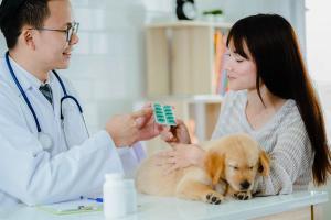 Veterinary pharmacist counseling patient about pet’s medication | nut - stock.adobe.com