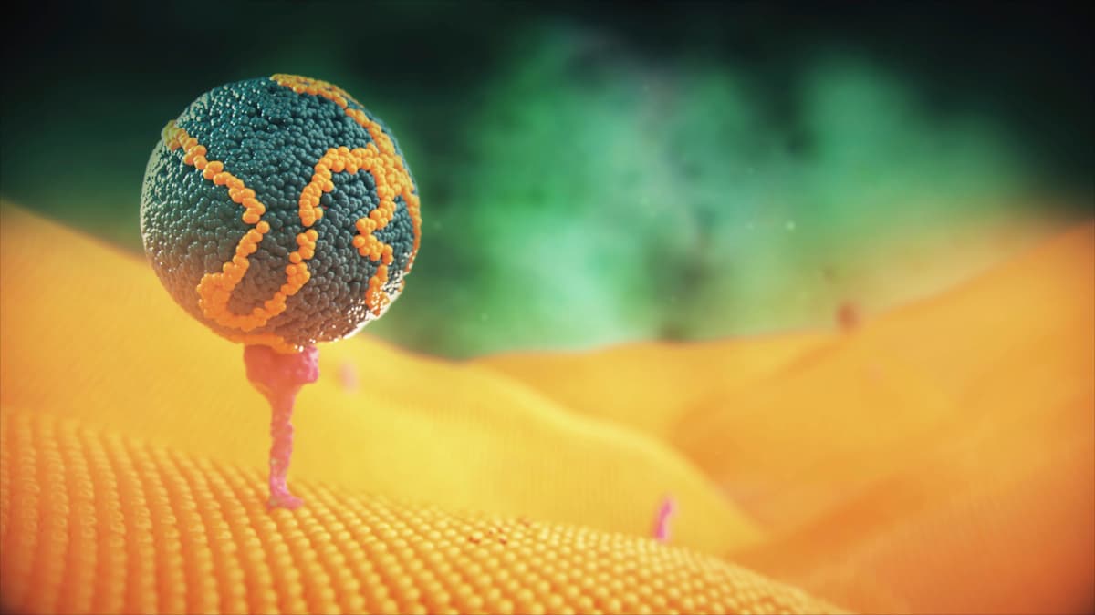 LDL Receptor, Cholesterol Management (3D Rendering)